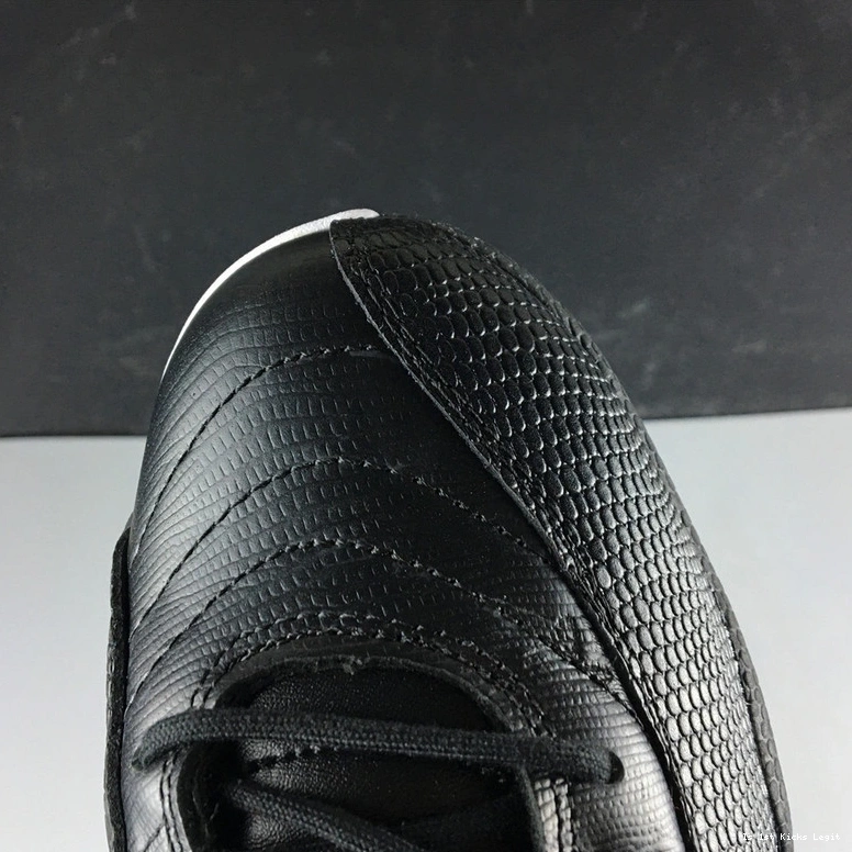 Air  Jordan  Wings AO6068-007 WMNS 12 0407